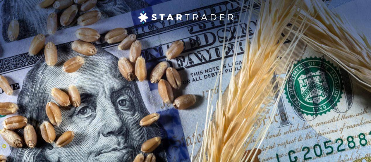 《STARTRADER外汇：期货市场变革--国内外汇期货真的要来了<strong></p>
<p>国内正规的外汇平台</strong>？》