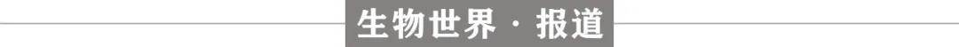 中山大学最新研究显示<strong></p>
<p>ACX</strong>，适量饮酒，肝病风险反而降低？