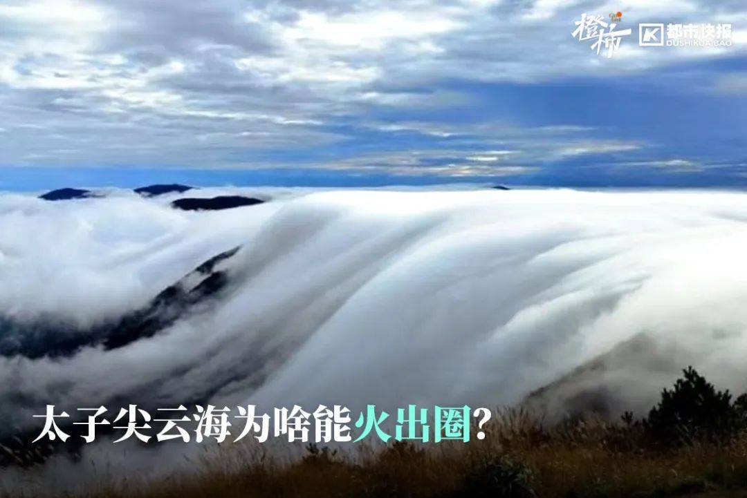 “来都来了<strong></p>
<p>shib</strong>，那就查一个吧”，浙江男子意外查出癌