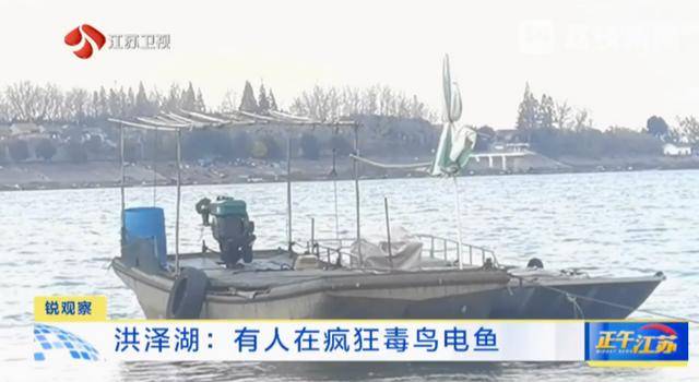 江苏洪泽湖有人毒鸟电鱼<strong></p>
<p>币安APP</strong>？淮安市相关部门：已了解相关情况 正在核实处理