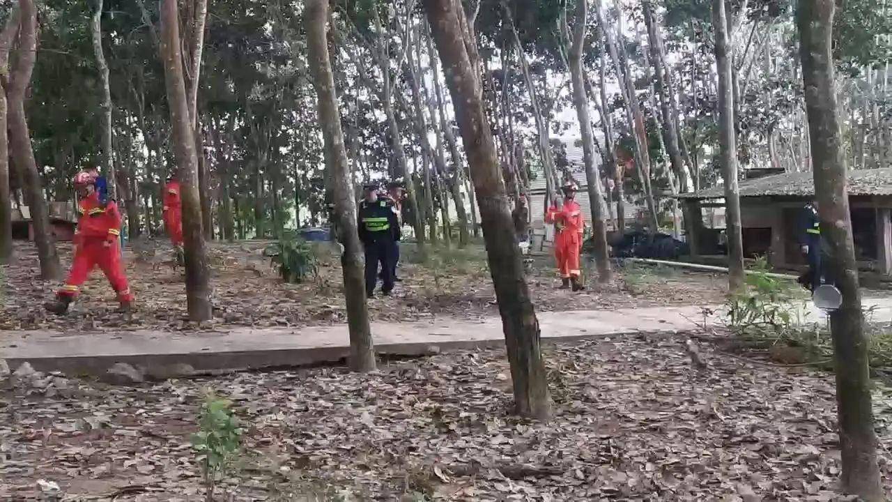 云南一310斤鳄鱼凌晨破笼脱逃：在鱼塘找到<strong></p>
<p>币安怎么玩</strong>，特警开枪击毙