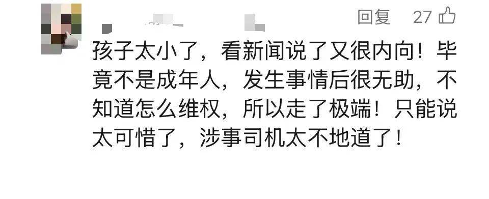 男孩错将100元车费付成1010元<strong></p>
<p>下载苹果</strong>，索要无果数日后自杀