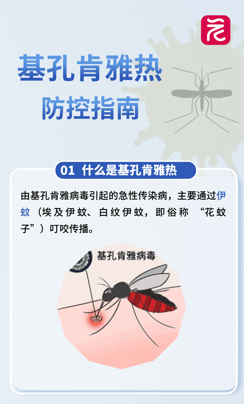 北京发现输入病例<strong></p>
<p>okex c2c</strong>，广东确诊已超2000例！世卫专家发出警报→