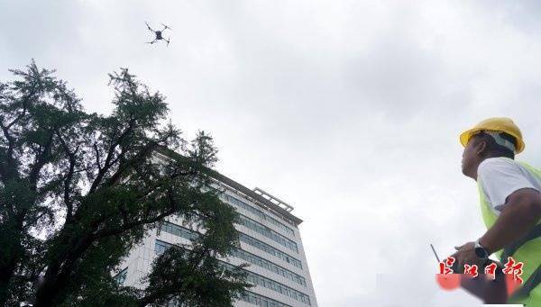 装上“淋浴”每天“冲凉”<strong></p>
<p>okex下载app</strong>，540余岁“汉阳树”被悉心照料