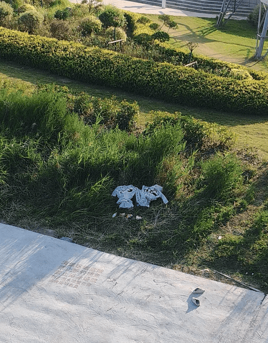 痛心！宋士佳遗体已被发现<strong></p>
<p>okex下载app</strong>，年仅30岁