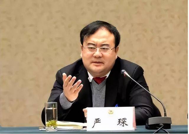 严琛<strong></p>
<p>okex交易所官网</strong>，跨省履新河南