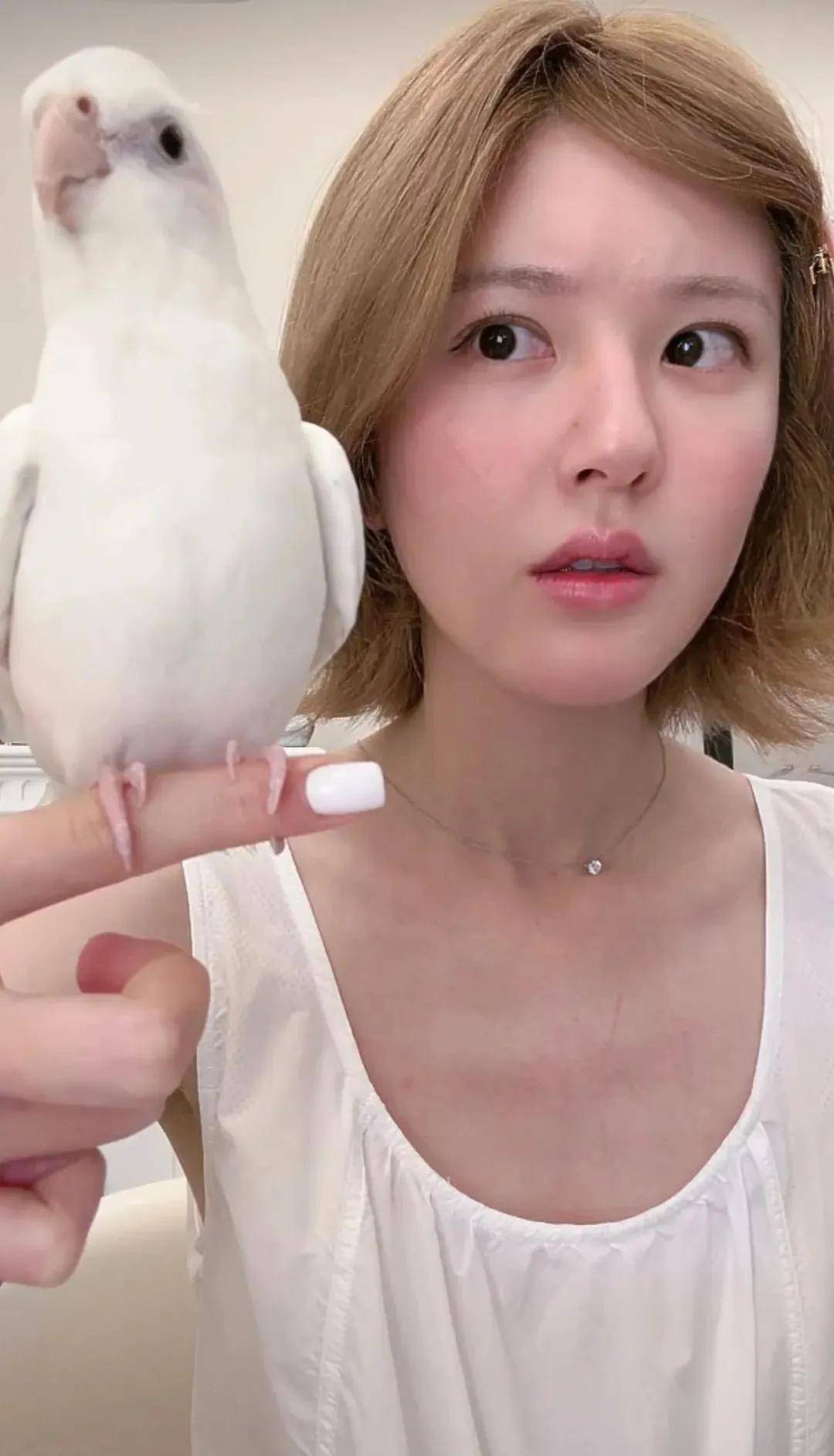 怒撕经纪公司后赵露思开启直播<strong></p>
<p>欧意okex下载</strong>，同款花卷、包包都卖爆