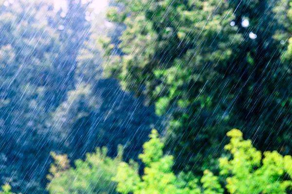 “几天下一年的雨”<strong></p>
<p>欧意okex下载</strong>，防灾减灾关键在哪？