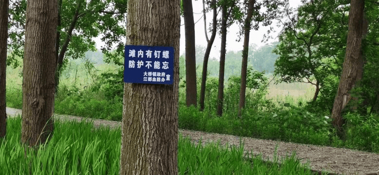 一旦接触<strong></p>
<p>okex下载链接</strong>，10秒即可感染！汛期谨防这种病→