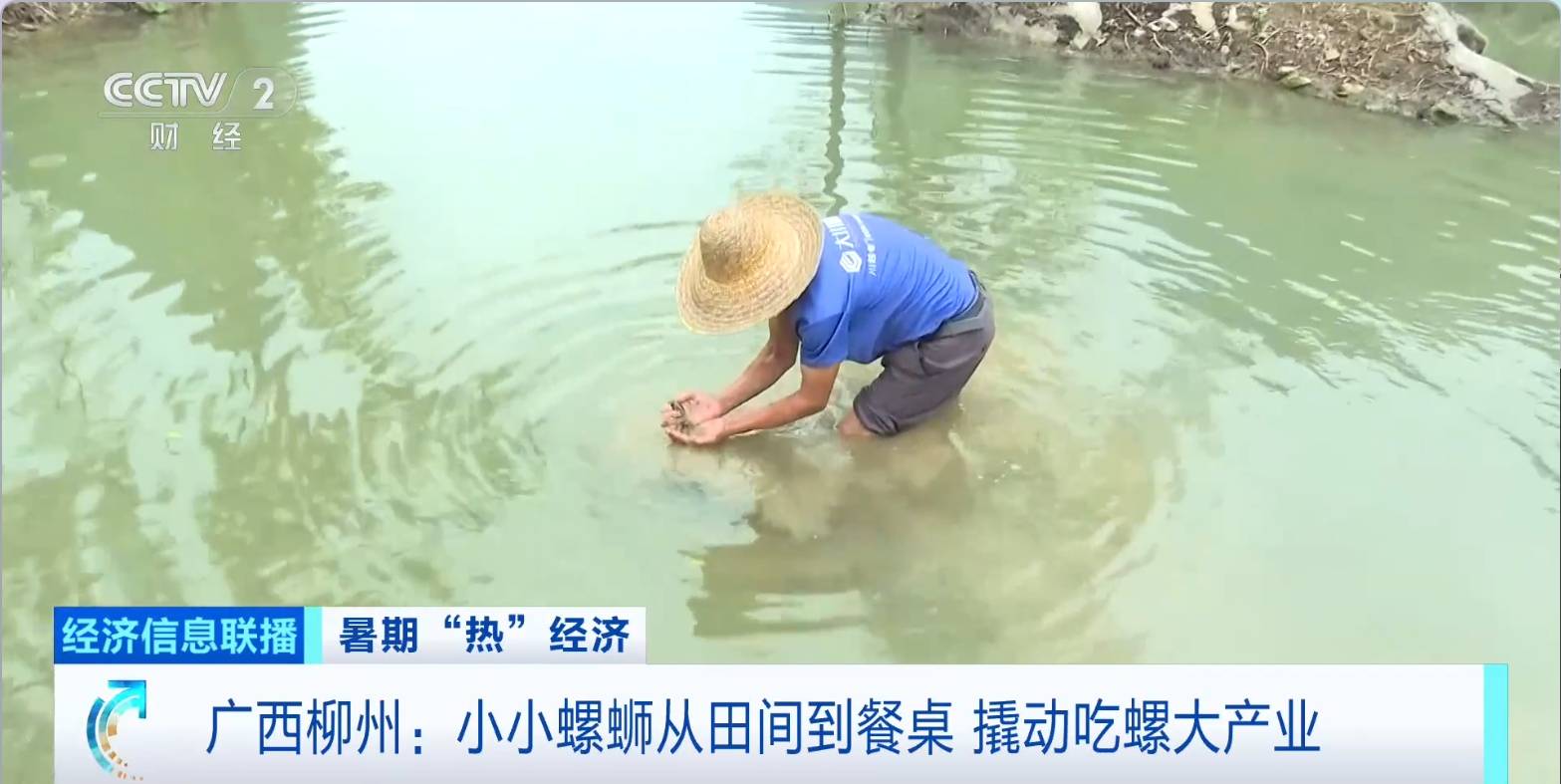 小小螺蛳从田间到餐桌<strong></p>
<p>okex下载链接</strong>，撬动广西柳州吃螺大产业