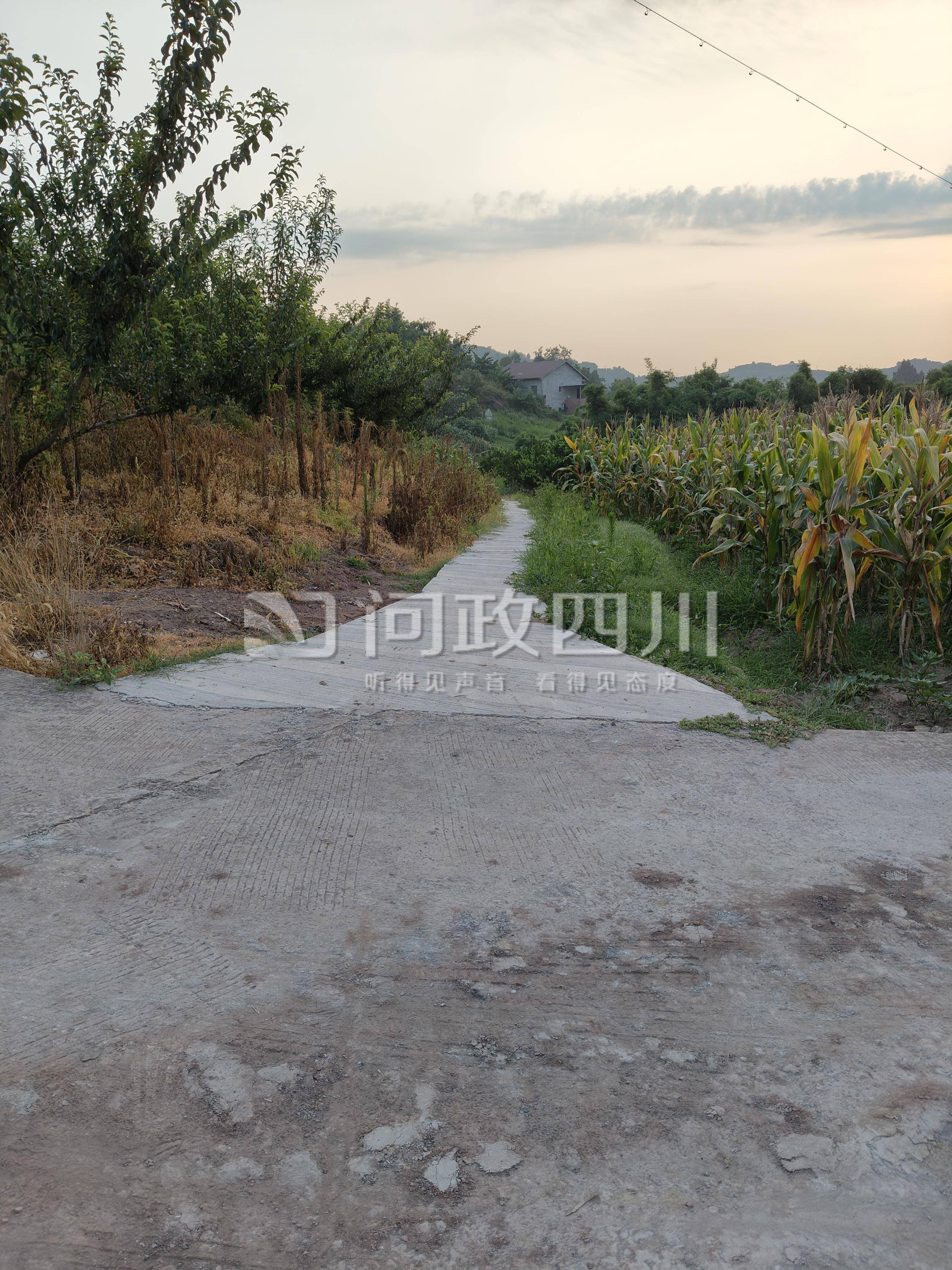 四川内江一村1.5米宽土路只硬化了0.8米<strong></p>
<p>苹果</strong>？镇政府：原土路非全部都宽1.5米