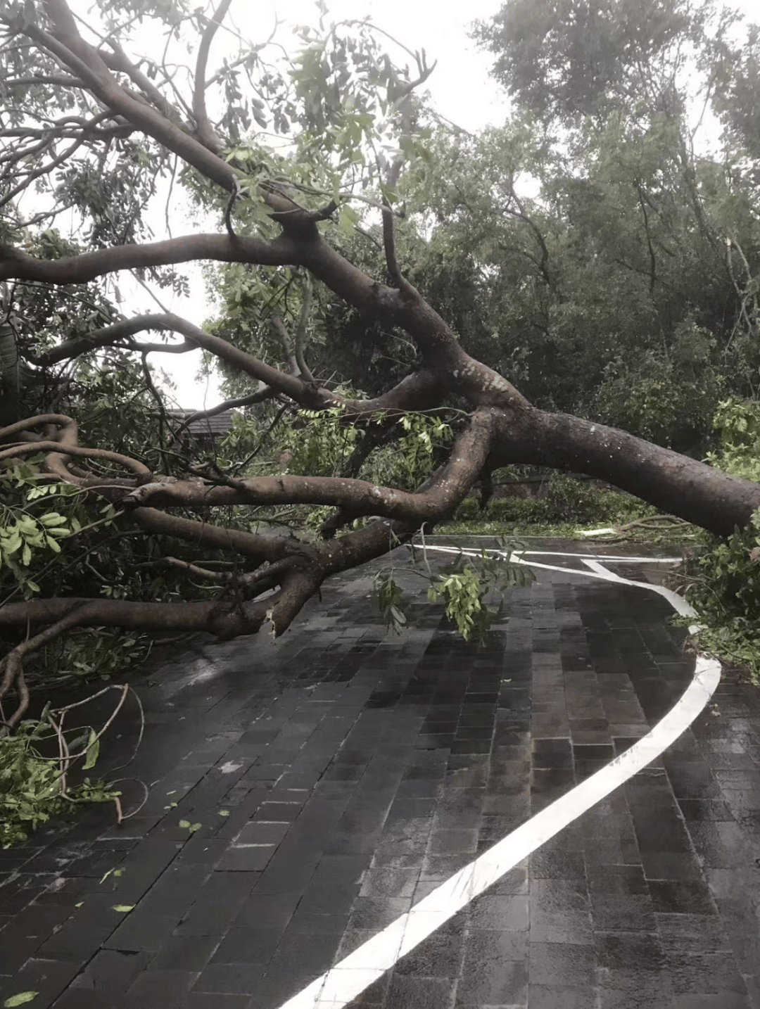 整栋楼都在晃动<strong></p>
<p>okex下载与安装苹果</strong>，不少人跑进地下车库！“剑鱼”袭击海南