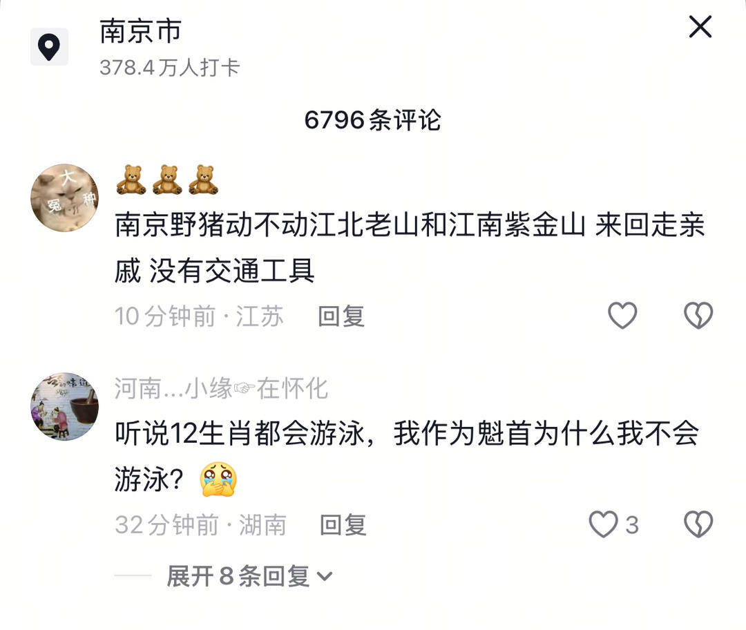 南京六头野猪组队渡长江<strong></p>
<p>okex下载与安装苹果</strong>，网友：天蓬元帅天上管水军的