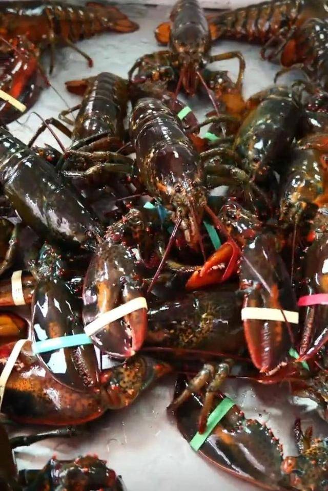 一天20元餐费能吃到龙虾、鲍鱼、海参……河南一幼儿园餐食走红<strong></p>
<p>okex软件</strong>，网友称堪比星级酒店