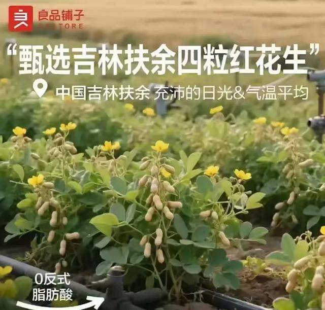 “花生上树”闹剧：AI翻车背后<strong></p>
<p>欧易okex交易费多少</strong>，我们都在弄丢常识？