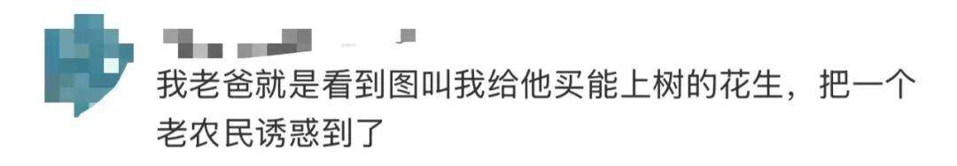 “花生上树”闹剧：AI翻车背后<strong></p>
<p>欧易okex交易费多少</strong>，我们都在弄丢常识？