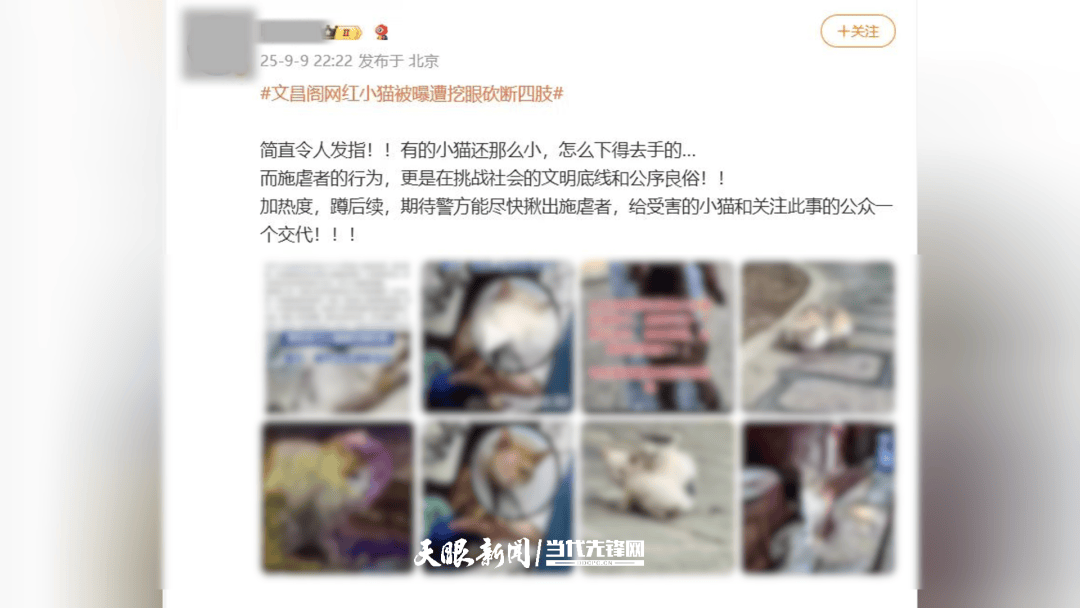 大反转<strong></p>
<p>okex交易所电脑版怎么下载</strong>！贵阳“挖眼虐猫”事件系AI编造