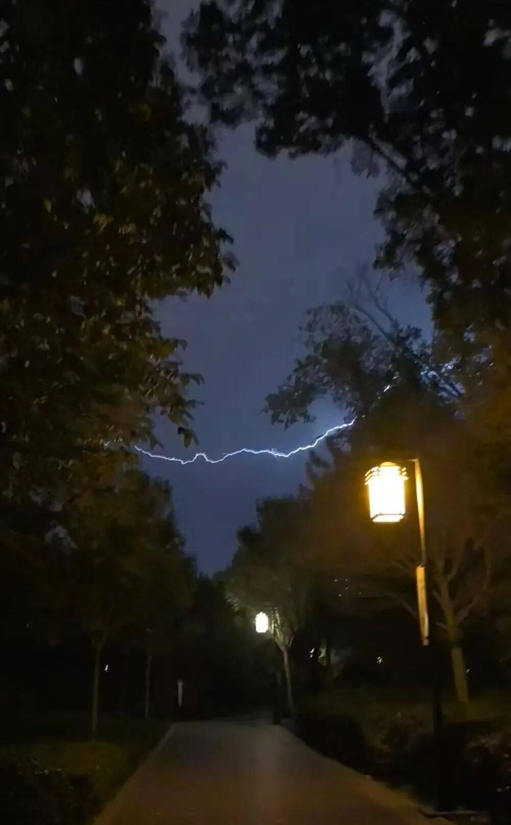 知名女主持人自曝：我雷暴哮喘了！太原这家医院急诊数小时内曾接诊400多人<strong></p>
<p>okex交易所电脑版怎么下载</strong>，近期高发