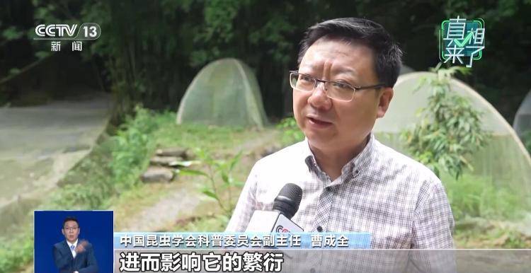 网传萤火虫濒临灭绝<strong></p>
<p>欧易(okex)</strong>，是真的吗？