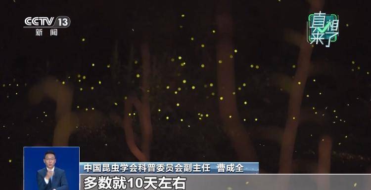 网传萤火虫濒临灭绝<strong></p>
<p>欧易(okex)</strong>，是真的吗？