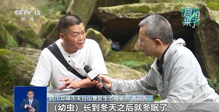 网传萤火虫濒临灭绝<strong></p>
<p>欧易(okex)</strong>，是真的吗？