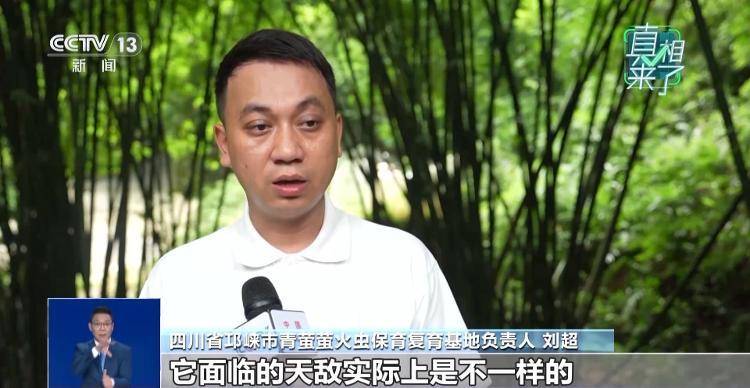网传萤火虫濒临灭绝<strong></p>
<p>欧易(okex)</strong>，是真的吗？