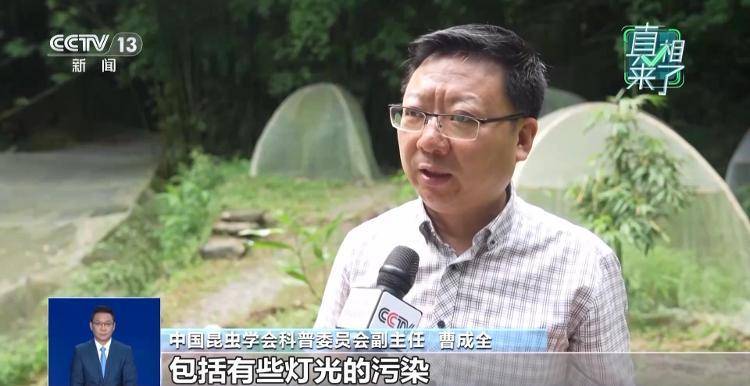 网传萤火虫濒临灭绝<strong></p>
<p>欧易(okex)</strong>，是真的吗？