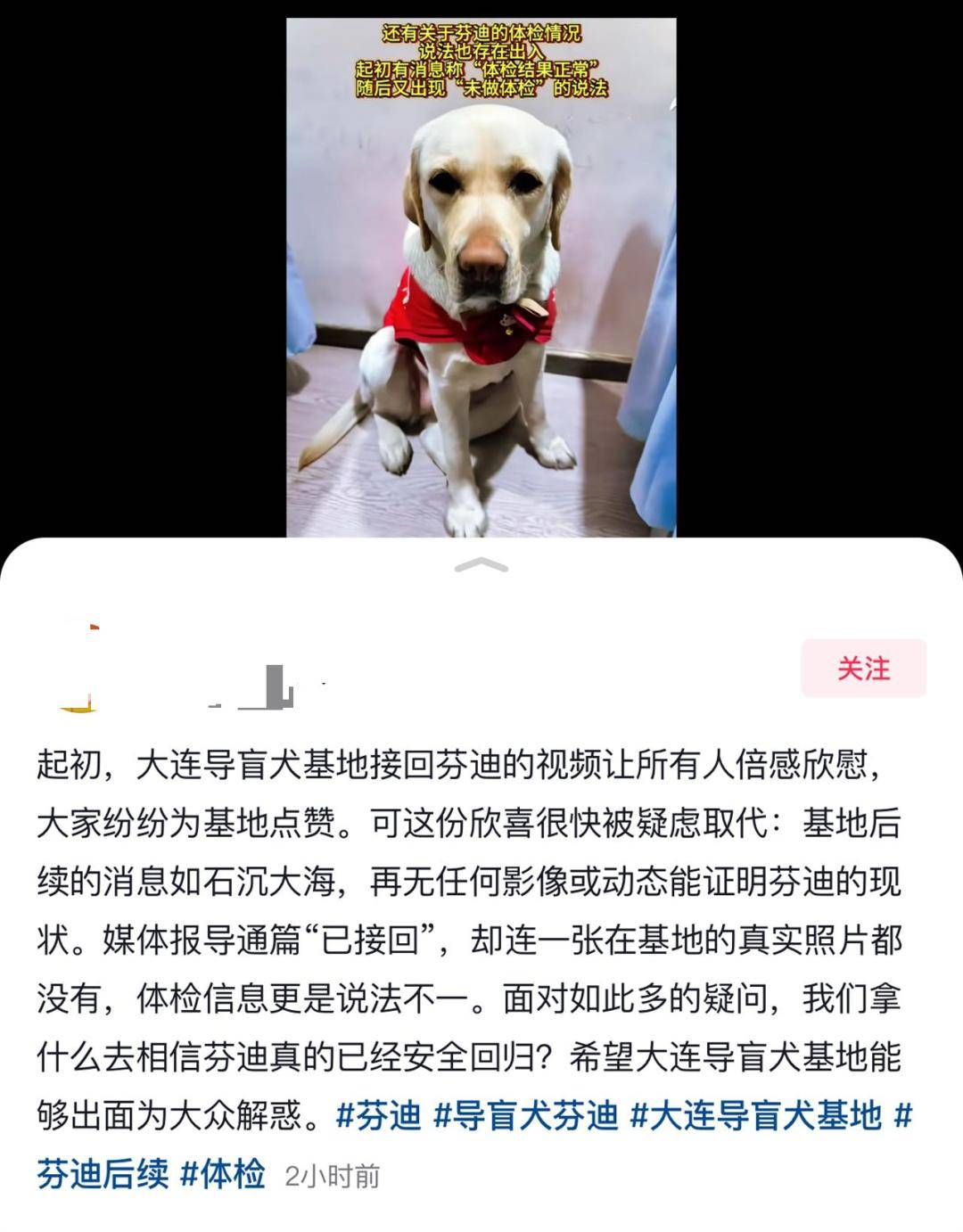 陪盲人夜爬泰山的导盲犬已被接回大连基地<strong></p>
<p>欧易okex全球排名</strong>，训练有素的导盲犬全国仅400余只，专业人士不建议危险情况下使用
